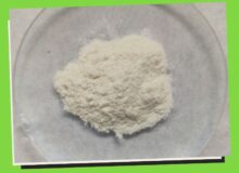 Chitosan 01 Chitosan 01