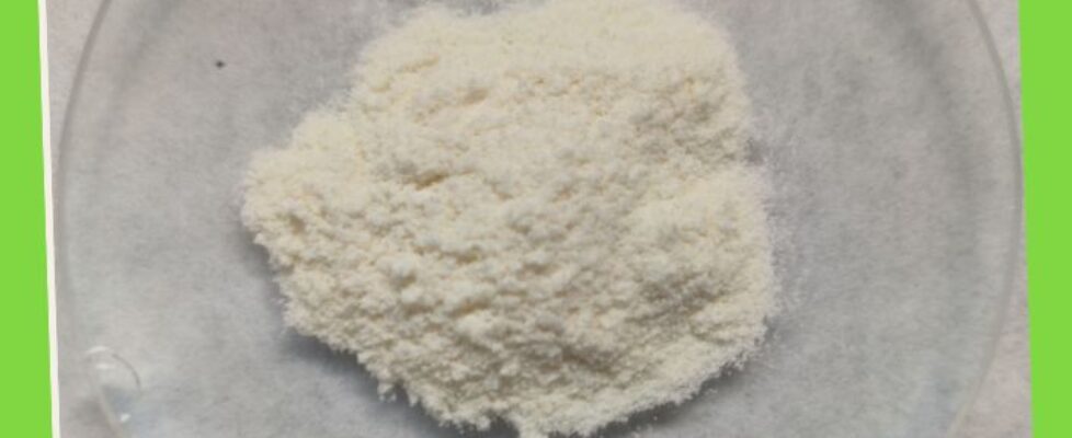 Chitosan 01