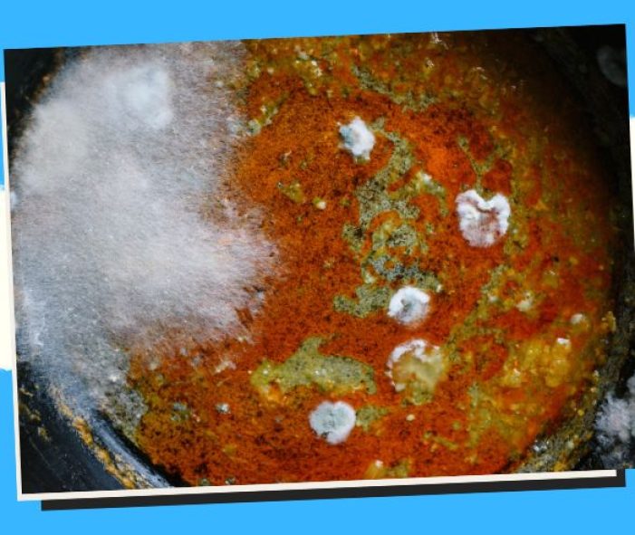 Mold Allergy
