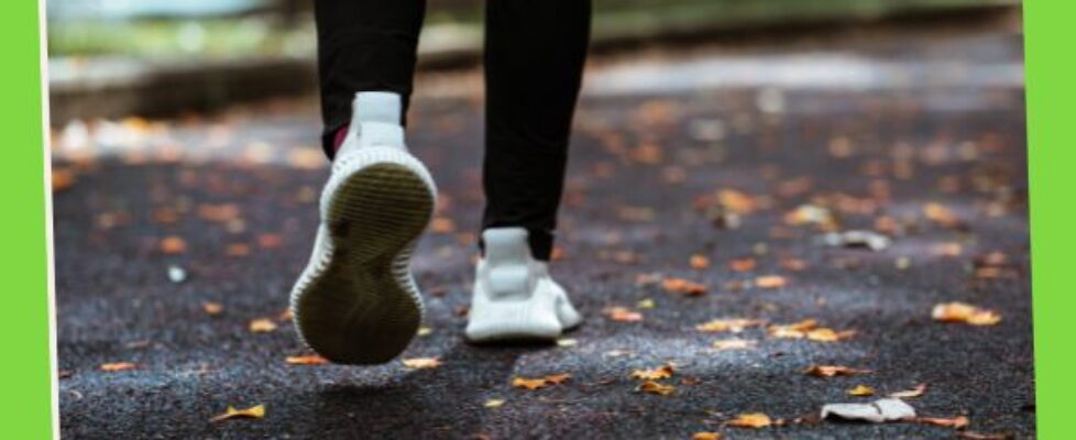 Physical Fitness 14