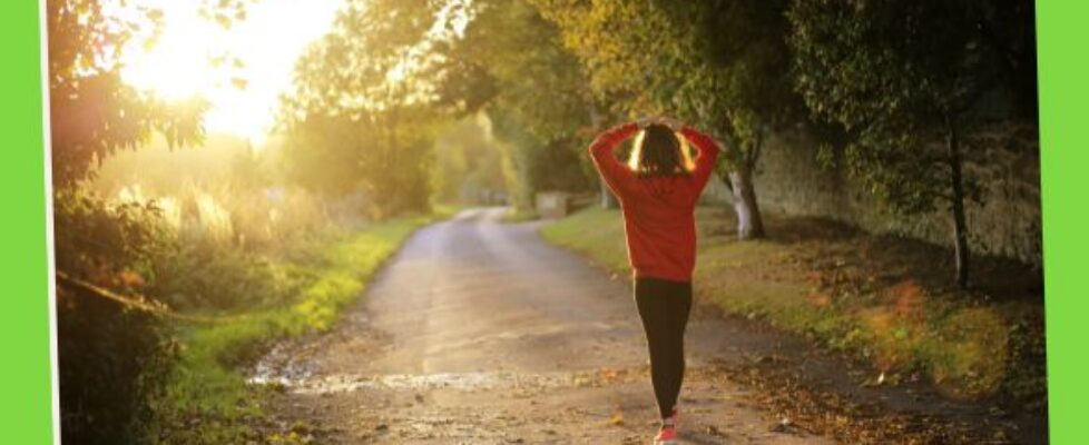 Physical Fitness 17