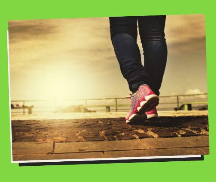 Physical Fitness 24