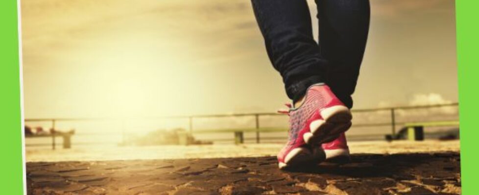 Physical Fitness 24