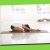 Physical Fitness 3
