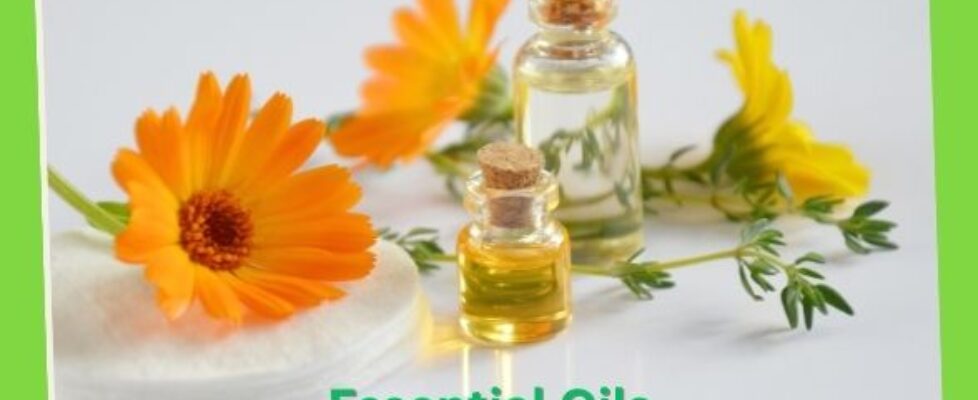 Essential Oils 02